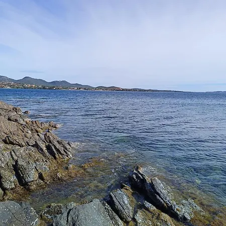 게스트하우스 Domo Archea, Al Centro Di 3*
