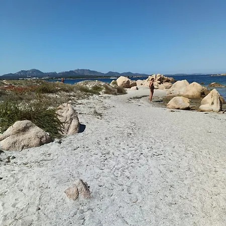 Domo Archea, Al Centro Di 게스트하우스 3*