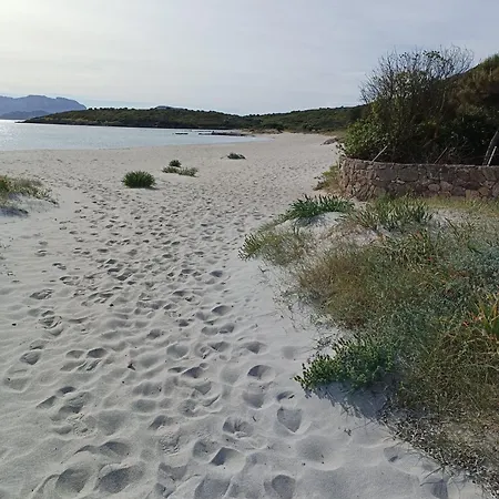 Domo Archea, Al Centro Di 게스트하우스 3*