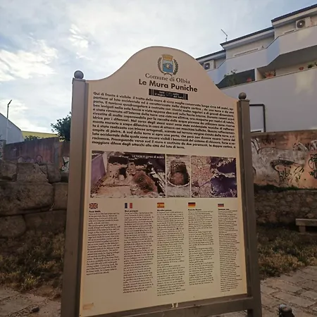 Domo Archea, Al Centro Di 올비아